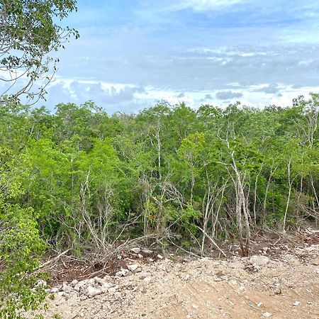 Relax Tulum Family Friendly Apartment In The In The Jungle - Pools & Cenotes Exterior photo