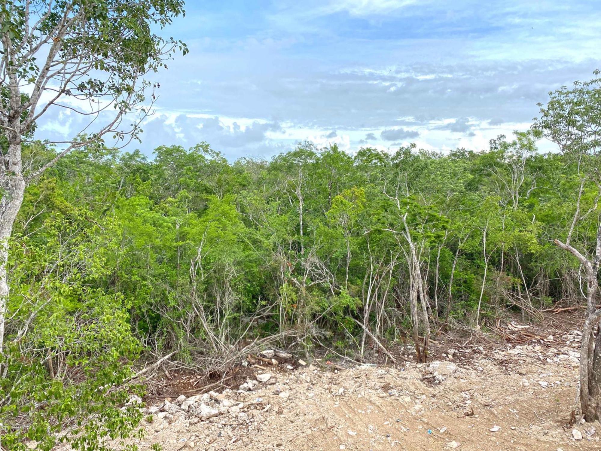 Relax Tulum Family Friendly Apartment In The In The Jungle - Pools & Cenotes Exterior photo